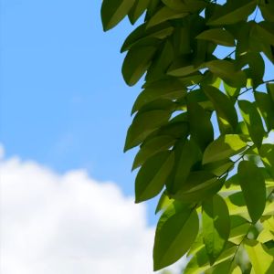 BẤT CHẤP THỜI TIẾT NÓNG VỚI QUẠT ĐIỀU HOÀ ĐEO CỔ COOLIFY - PKTL