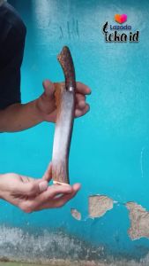 Pisau Daging Baja Pisau Dapur Kayu Aren Tajam
