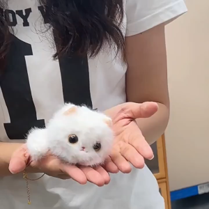 ตุ๊กตาแมวเหมียว Tumbling Plush จำลองนาฬิกาแมวดวงดาวแบบมีปฏิสัมพันธ์กับเป้สะพายหลังแบบจี้ของขวัญของเล่น