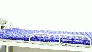 Nệm Nước Đa Năng Nằm Ghế Sofa Đệm Nước Mát Gia Đình Văn Phòng Êm Mông Làm Lạnh Giảm Nhiệt ĐỦ SIZE