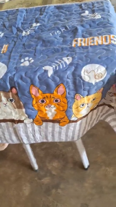 แผ่นรองโซฟา 6 ลายเลือกได้ 4 ขนาด กันฝุ่นกันน้ำ ทำความสะอาดง่าย 90*180cm ผ้าคลุมโซฟา ผ้าปูโซฟา ผ้าคลุมโซฟา เบาะโซฟา เสือปูโซฟา กันฝุ่นกปกปิดรอยเปื้อนแต่งโซฟาให้สวยงาม ลายการ์ตูน