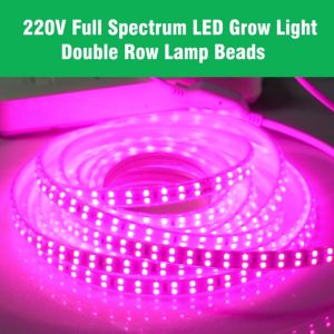LED Grow Strip Full Spectrum Waterproof 180leds/m Double Row Lamp AC220V 1m/2m/3m/4m/5m/6m/8m/10m/15m/20m LED Grow Light 2835 LED Phyto lamps For Plants Flowers Greenhouses Hydroponic
