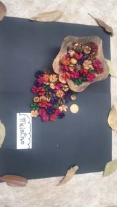 (5 biji) Kolase Biji Puspa Biji Puspo Bunga Waru Properti Foto Dekorasi Rustik Aneka Bahan Mahar