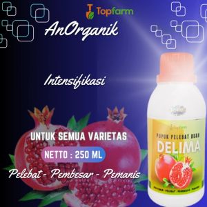 Pupuk Penyubur Buah Delima / Pupuk Buah Delima Berbuah Lebat / Pupuk Pelebat Buah Delima / Pupuk Buah Delima Berbuah Lebat / Pupuk Pembesar Buah