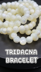 Natural White Tridacna Shell Bracelet Seashell Round Fashion Jewelry Accessories Men Women
