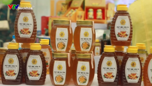 Tinh Bột Nghệ Nguyên Chất Curcumin Cao Dưỡng Da Làm Viên Nghệ Sữa Kem Nghệ CVDBEEHONEY 500g