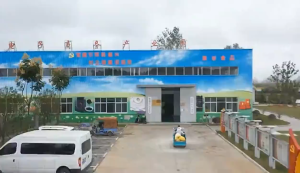 【SG SELLER】Grain Perilla Seed Oil 500ml Bottle Rich in α-Linseed Oil (ω-3) Household Vegetable Edible Oil