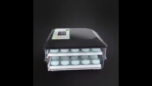 Fully automatic egg incubator digital incubator 56/128 temperature control 220V/12V dual power suppl