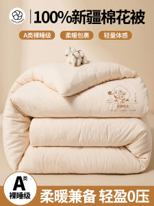 Thickened 10 Sheng Cotton Quilt All Seasons Universal Mother-and-Child Quilt Spring Autumn Winter Quilt Breathable High Warmth