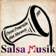 Salsa Musik