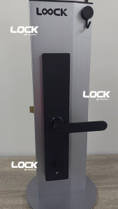 LOOCK B-02 Digital Smart Door Lock | 5-in-1 Keyless Entry w/ Fingerprint Passcode RFID Watch App Control Entries