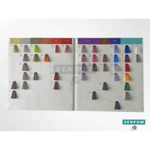 ชาร์จสี ทำผม SENPOM สีทั้งหมด 40 สี