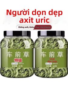 Wild Fresh Red Roasted Plantago Asiatica Tea