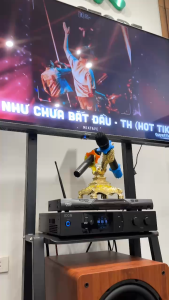 Loa Subwoofer iCON S200 – Siêu Trầm Uy Lực Chất Âm Chuyên Nghiệp