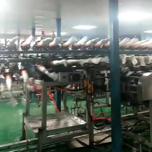Transparent Thick PVC Disposable Gloves 100 Boxes