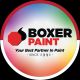 Cat Boxer Paint