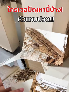 น้ำยากำจัดมด กำจัดปลวก และแมลง Anti Ant  เห็นผลไว ปลอดภัย ไม่มีกลิ่น