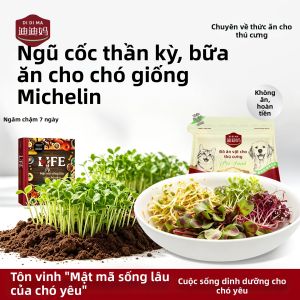 DIDIMA | Thức Ăn Bổ Sung Đông Lạnh Dinh Dưỡng Cho Chó