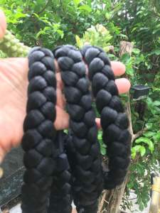 เปียยางยืดรับปริญญา พร้อมส่งไว ขนาด 20-30mm