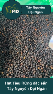 Hạt Tiêu Rừng Tự Nhiên Tây Nguyên Tiêu Rừng Chuẩn Organic Sạch Cay Thơm Đặc Sản Tây Nguyên Hộp 100g
