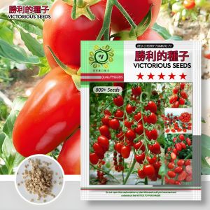 1 Pack (800 Biji) Benih Tomat Ceri Merah Red Cherry Tomato F1 Kemasan Import / benih tanaman