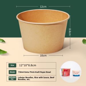 PAITUO | Disposable Lunch Box Set For Home and Picnic
