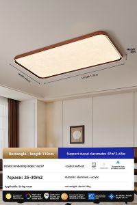 PARSA | Vintage New Design Creative Ceiling Light