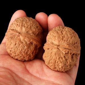 Large Kirin Pattern Play walnut Pair