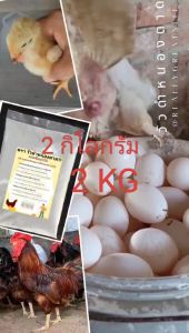 แคลเซียมสำหรับสัตว์ แคลเซียมคาร์บอเนต แคลเซี่ยมสำหรับไก่ไข่ แคลเซียมสำหรับเป็ดแคลเซียมสำหรับวัว แคลเซียมสำหรับแพะ แคลเซี่ยมสำหรับแกะแคลเซียมชนิดผง ( บรรจุ 2 กิโลกรัม )