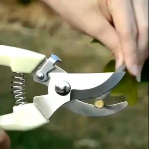 Stainless Gardening Pruning Shears Fruit Tree Garden Plant Scissors Branch Pruner Cutter Grafting Hand Tools