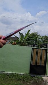 Joran Tegek kaku x cross limited Tongkat Pancing baronang COD