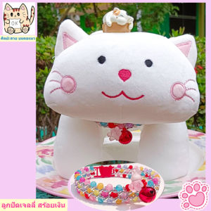 CatOK สร้อยคอแมว สร้อยคอสุนัข สร้อยคอสัตว์เลี้ยง สร้อยคอลูกปัดเจลลี่ สร้อยโซ่เงิน ปลอกคอสัตว์เลี้ยง อุปกรณ์สัตว์เลี้ยง เครื่องประดับ