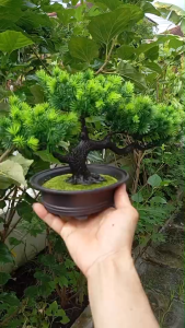 บอนไซเทียมต้นไม้พลาสติกเหมือนจริง ขนาด 20cm 33cm