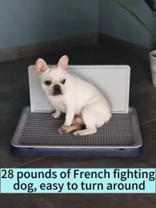 Dog Toilet & Urinal Potty Training Device: A Guide for Medium & Large Dogs