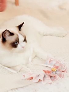 Vòng cổ yếm cổ có ren dễ thương cho chó mèo (mẫu mới) - Hara Pet Store