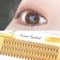 Browneye False Eyelashes Coffee Brown 10 Pieces per Box Natural Looking Doll-like Extensions for Any Skin Type. 