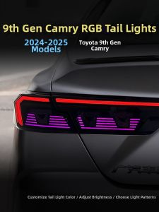 Modified LED Tail Light Assembly For Camry
