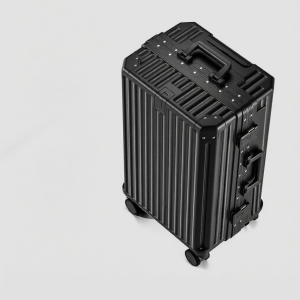 TSA Lock Suitcase Strong 20in-28in