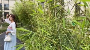 daidai (Ready Stock) Suzhou Silk Hand Embroidery Art Bag Chinese Canvas Handbag Hanfu Cheongsam Accessories 苏绣包包百搭手提国风旗袍