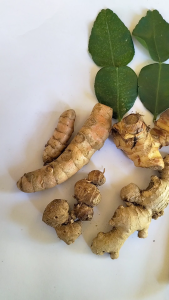 Paket Bumbu Rempah Komplit Jahe Kunyit Kencur Sereh lengkuas Daun Jeruk Tongseng Opor Rendang Gulai