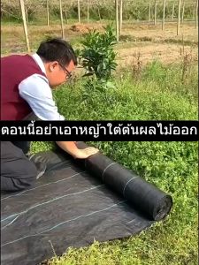 COD พลาสติกคลุมดิน (คลาสA) พลาสติกคลุมวัชพืช ผ้าคลุมดิน ผ้าคลุมหญ้าผ้าคลุ ป้องกันรังสีUV หมดปัญหาหญ้าขึ้นกวน กว้าง 1-3 เมตร ยาว 10-100 เมตร