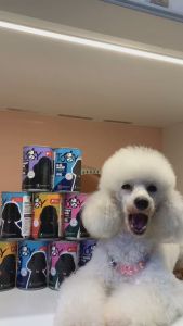 Pate TOBY cho chó lon 400g Thức ăn tươi cho chó nhiều dinh dưỡng