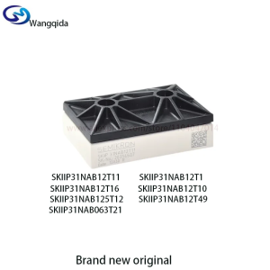 SKIIP31NAB12T11 SKIIP31NAB12T1 SKIIP31NAB12T49 SKIIP31NAB12T16 SKIIP31NAB12T10 SKIIP31NAB125T12 SKIIP31NAB063T21 brand new