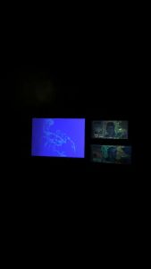 Senter UV 365nm 3W LED Black Light Cek Uang Kalajengking Forensik Cat
