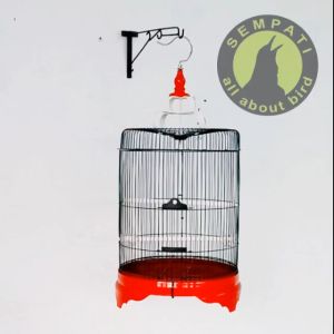 SEMPATI Sangkar Kandang Burung Murai Jumbo Fullset 46cm Tebok Pvc Tebal Besi Import Sangkar Kandang Burung Murai Poksay Kacer Cucak Ijo Jalak