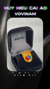 HUY HIỆU CÀI ÁO VOVINAM MẠ VÀNG | Huy hiệu Vovinam Phù hiệu Vovinam cài áo mạ vàng cao cấp AILAIKIT