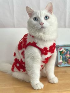 Little Red Flower Cat Clothes: Keeping Your Feline Warm & Stylish This Autumn Winter
