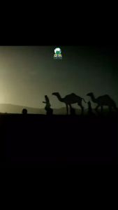 Kisah Inspiratif Bertabur Hikmah: Perjuangan & Keteladanan Para Tabiin