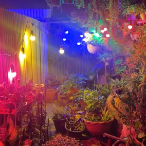 หลอดไฟสี หลอดไฟปิงปองสี LED 7วัตต์ 220V ขั้วE27 มาตรฐานมอก. ใช้งานยาว 25000 ชม. ป้องกันไฟตกไฟกระชาก