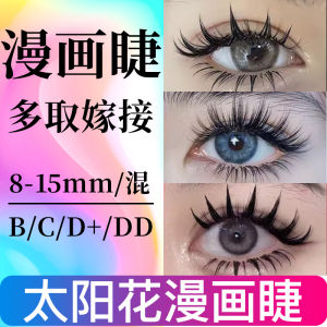 Barbie Curl Velvet False Eyelashes 0.05 Cartoon Style D+ Lifted Chinese Style Slanted Tea Rose Bridesmaid Extensions